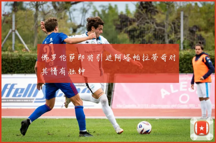 佛罗伦萨即将引进阿塔帕拉蒂奇对其情有独钟